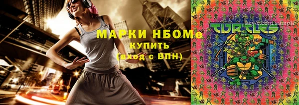 гашик Алзамай