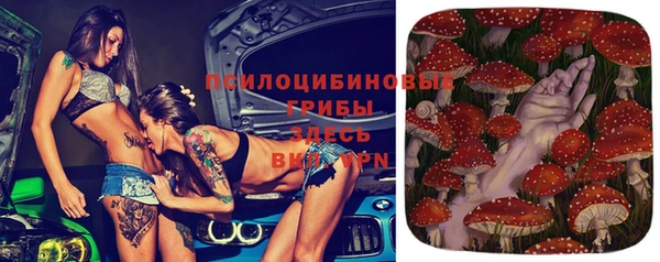 стаф Абаза