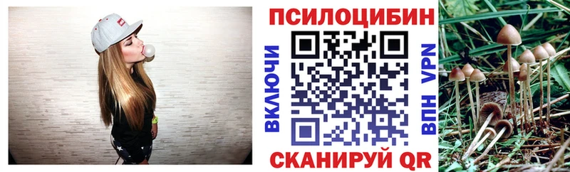 Псилоцибиновые грибы прущие грибы  KRAKEN tor  Камызяк 